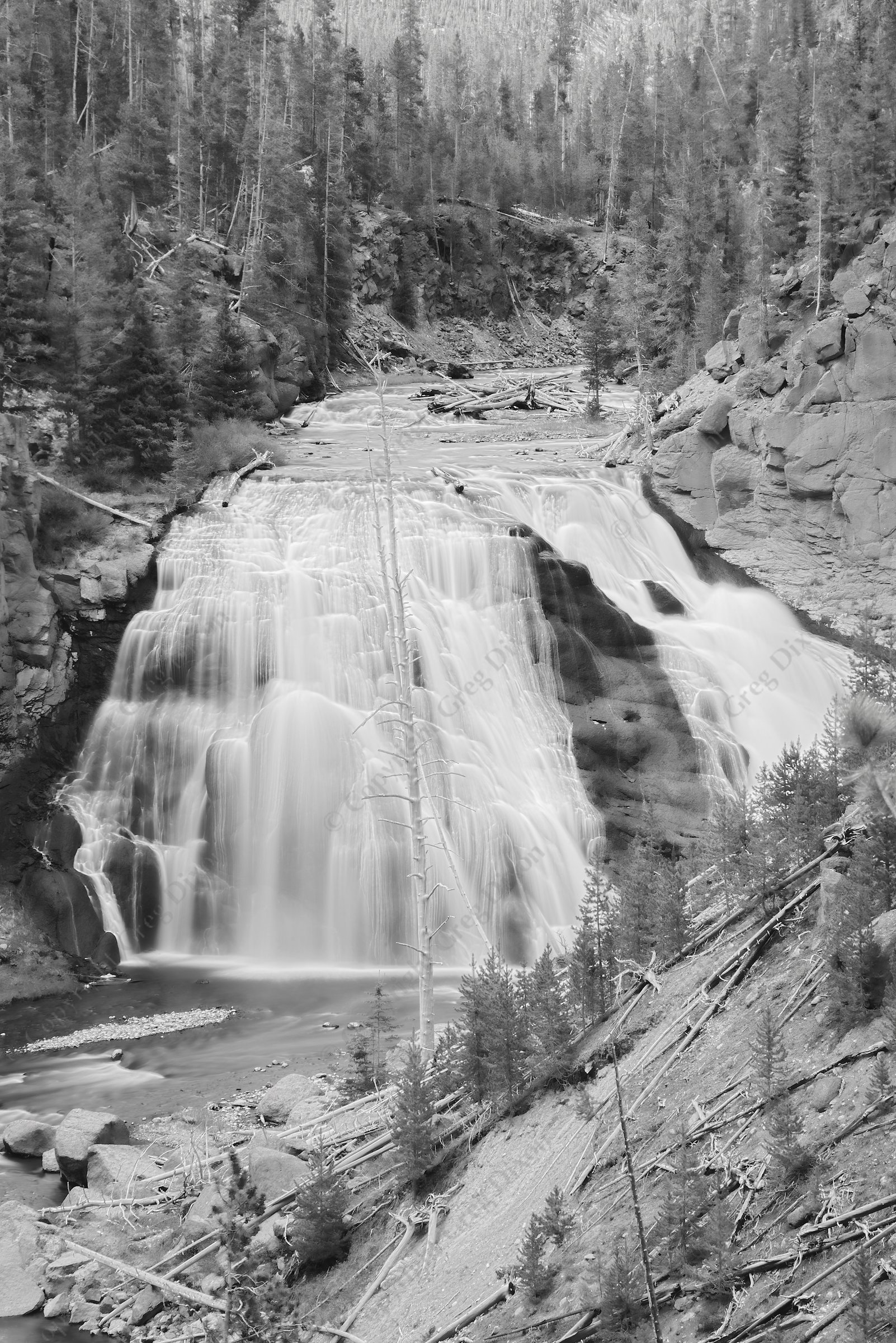 "Canyon of Gibbon Falls"  Yellowstone National Park  Gibbon Falls | The Gibbon River winds through a canyon before cascading 84 feet to the valley below on Tuesday, June 4, 2013 | Signature Edition Print by Greg Dixon | B&W HDR Image: Stack of 6 Digital Photographs